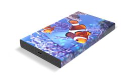 White Lake Pro External HDD